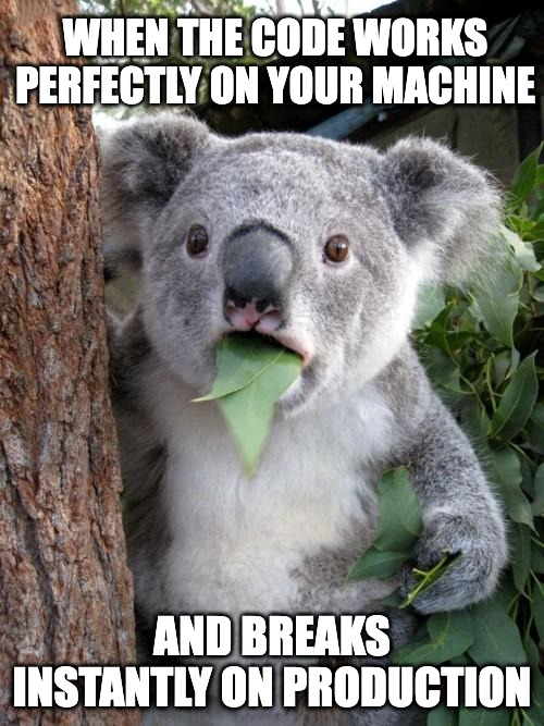 Dev vs Production - When your code hits someone else's machine